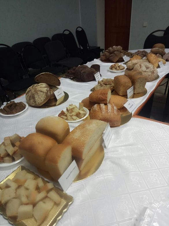 Семинар «Балькандрин»